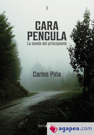 Cara pengula