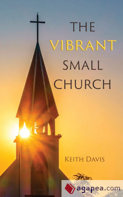 The Vibrant Small Church