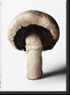 The Gourmand's Mushroom. A Collection of Stories & Recipes