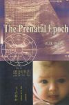 The Prenatal Epoch