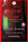 The Secret Door: Story No. 49