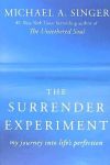 The Surrender Experiment: My Journey Into Life's Perfection