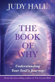 Portada de The Book of Why