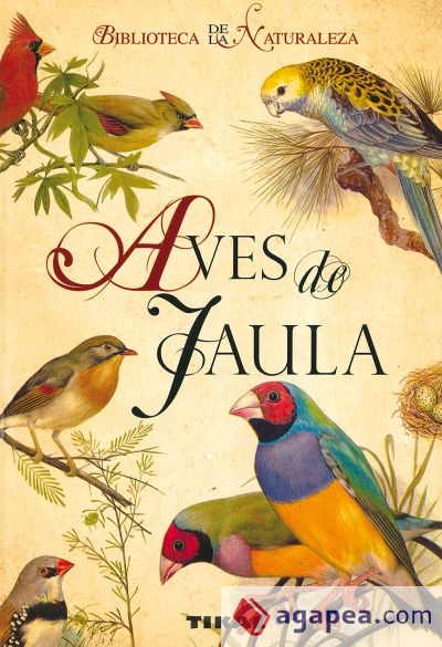 Aves de jaula