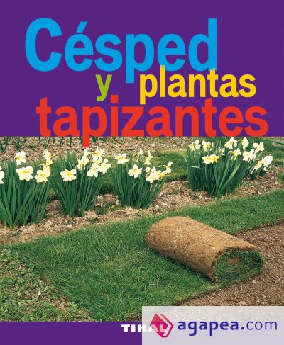 Jardinería Y Plantas. Césped y plantas tapizantes