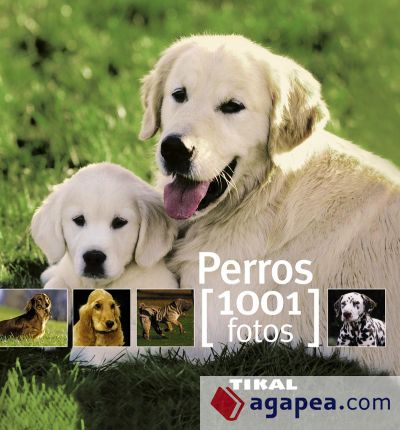 Perros