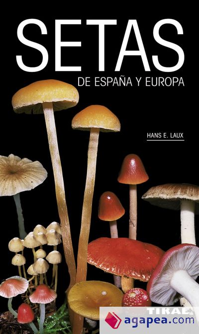 Setas de España y Europa