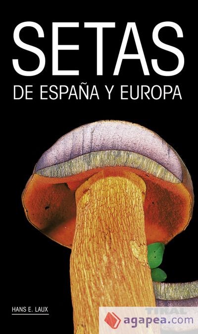 Setas de España y Europa