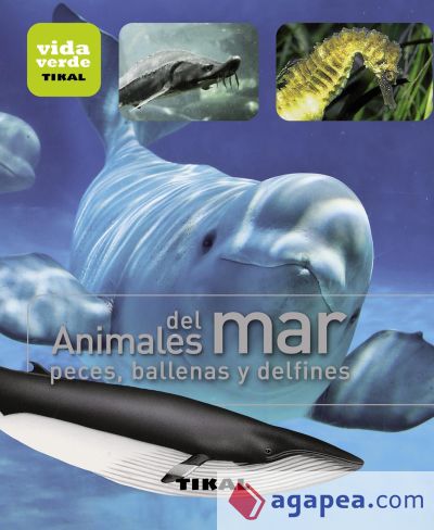 Vida verde. Animales del mar. Peces, ballenas y delfines