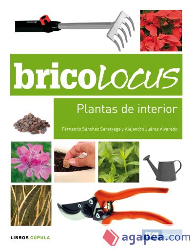 Bricolocus. Plantas de interior