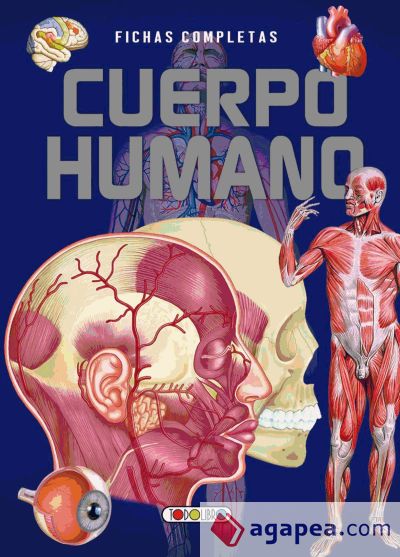 Cuerpo humano