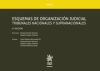 Tomo I Esquemas de Organización Judicial Tribunales Nacionales y Supranacionales 5ª Edición 2018