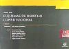 Tomo XXII Esquemas de Derecho Constitucional