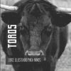 Toros: Libre illustrado para ninos