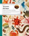 Tresors del mar