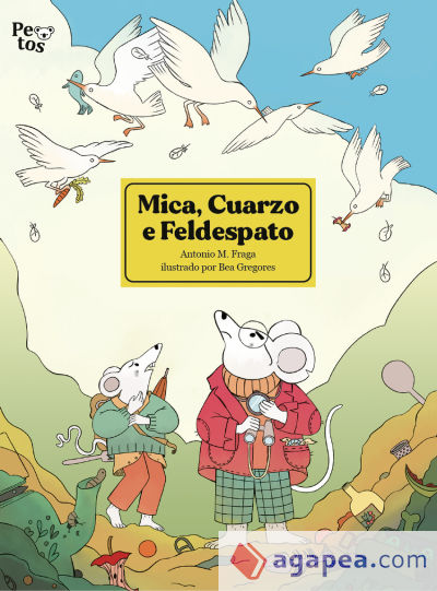 MICA, CUARZO E FELDESPATO