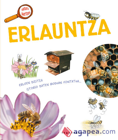 Erlauntza