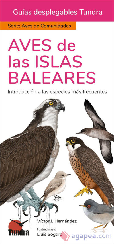 Aves De Islas Baleares