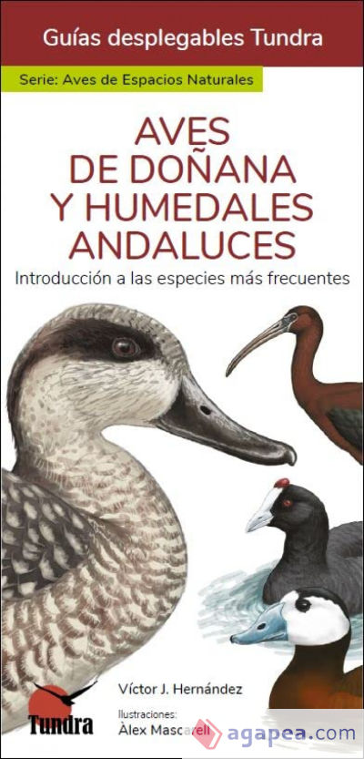 Aves de doñana y humedales andaluces