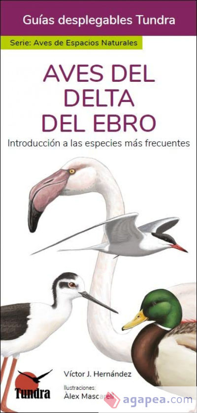 Aves del Delta del Ebro