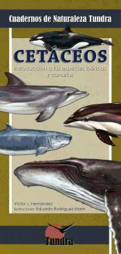 Portada de Cetáceos : introducción a las especies ibéricas y canarias
