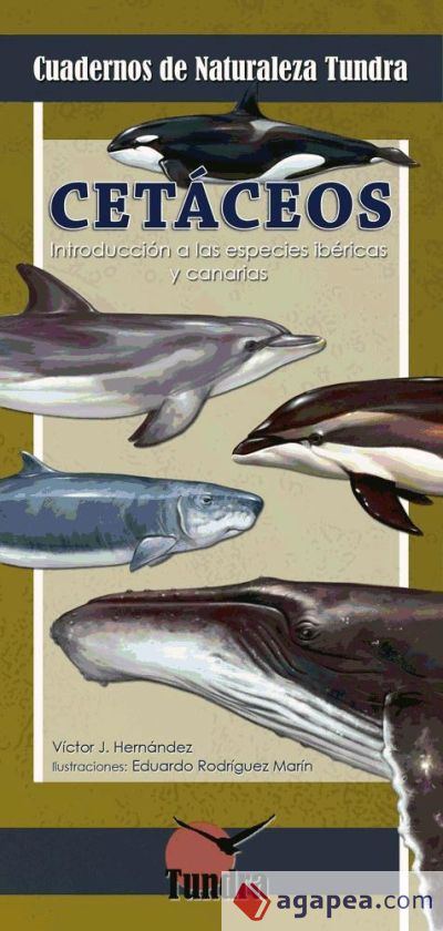 Cetáceos : introducción a las especies ibéricas y canarias