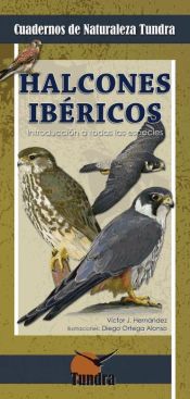 Portada de Halcones ibéricos : introducción a todas las especies