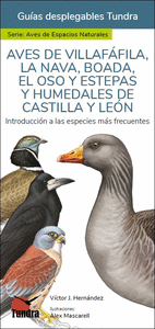 Portada de Aves de villafafila,la nva, boada,el oso y estepas