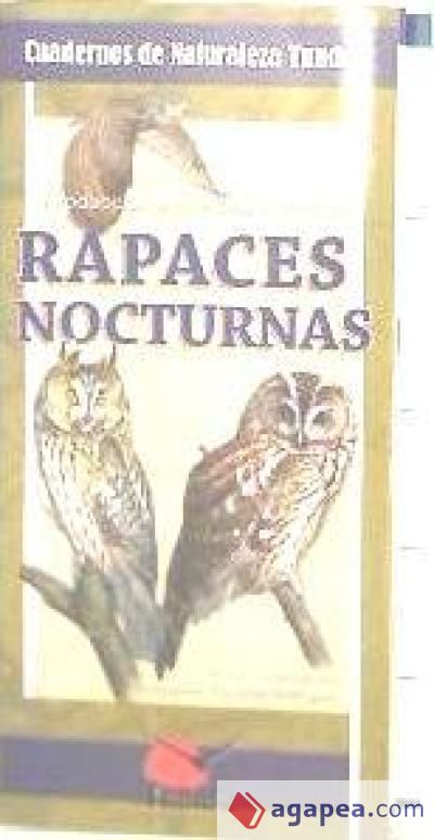 Rapaces nocturnas : introducción a las especies ibéricas