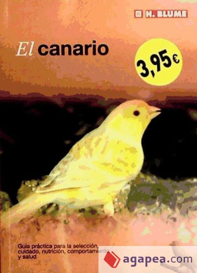 El canario