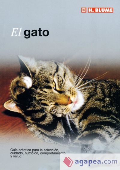 El gato