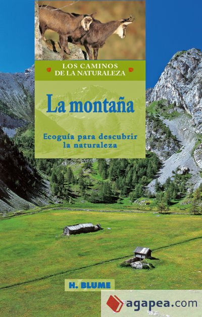 La monta&ntilde;a