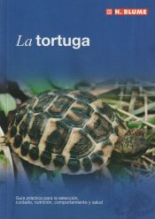 Portada de La tortuga