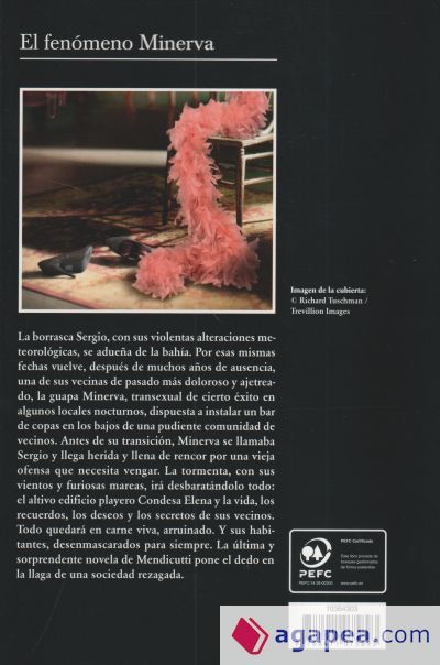 El fen&oacute;meno Minerva