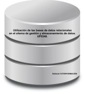 Portada de Utilización de las bases de datos relaciones en el sistema de gestión y almacenamiento de datos. UF0348