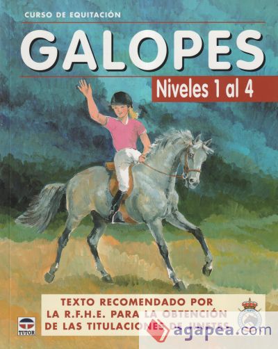 CURSO DE EQUITACIÓN. GALOPES. NIVELES 1 AL 4