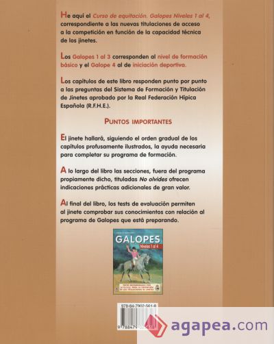 CURSO DE EQUITACIÓN. GALOPES. NIVELES 1 AL 4