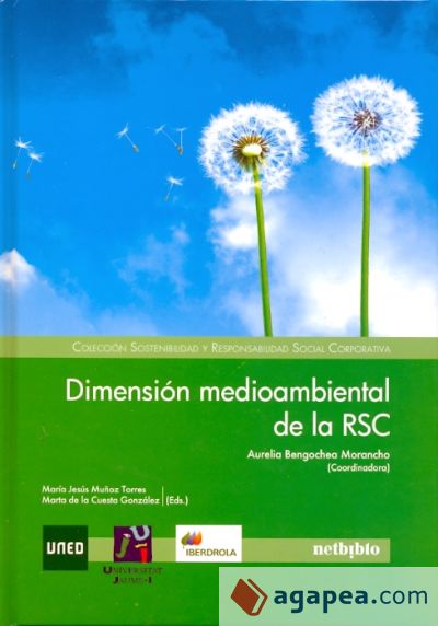 Dimensión medioambiental de la RSC