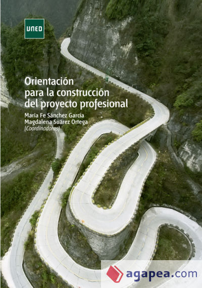 Orientación para la construcción del proyecto profesional