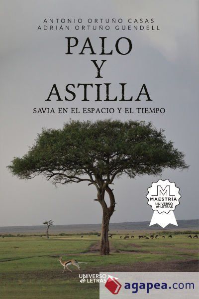 PALO y ASTILLA PALO y ASTILLA