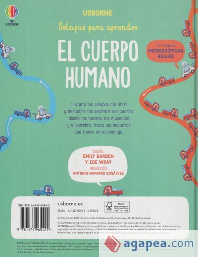 CUERPO HUMANO
