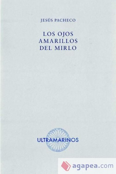 Los ojos amarillos del mirlo