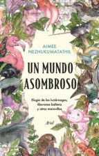 Portada de Un mundo asombroso (Ebook)