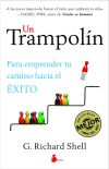 Un trampolín