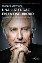 Portada de Una luz fugaz en la oscuridad (Ebook)