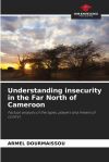 Understanding insecurity in the Far North of Cameroon