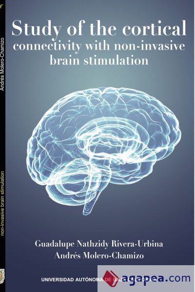 STUDY OF THE CORTICAL CONNECTIVITY WITH NON-INVASIVE BRAIN STIMULATION ...