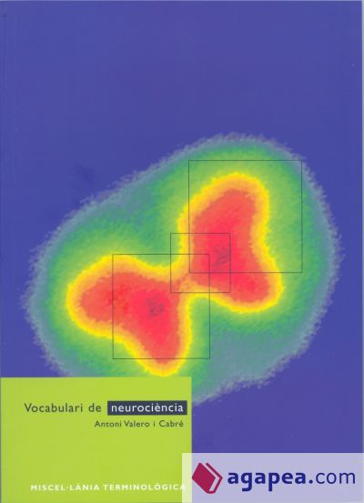 Vocabulari de neurociència