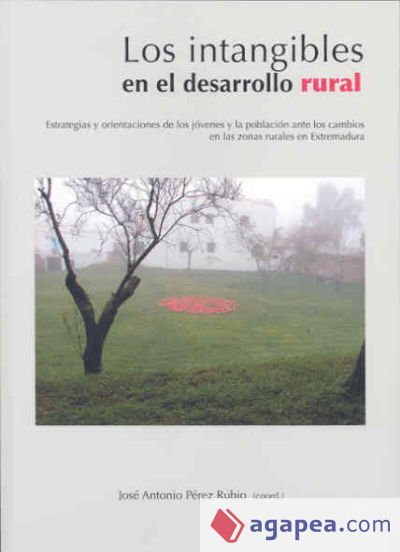 Los ""intangibles"" en el desarrollo rural. Estrategias y orientaciones de los jóvenes y la población ante los cambios en las zonas rurales en Extremadura