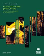 Portada de Las plaquitas grabadas de la cueva de Las Caldas (Ebook)